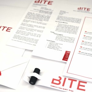 Promotion Plan For Canadian Fashion Brand – BITE Beauty